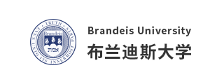 布蘭迪斯大學